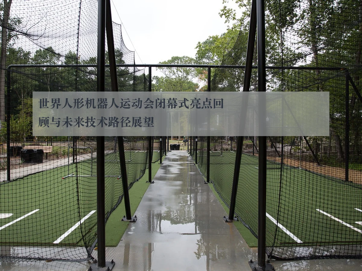 世界人形机器人运动会闭幕式亮点回顾与未来技术路径展望